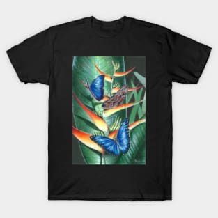 heliconia and morphos T-Shirt